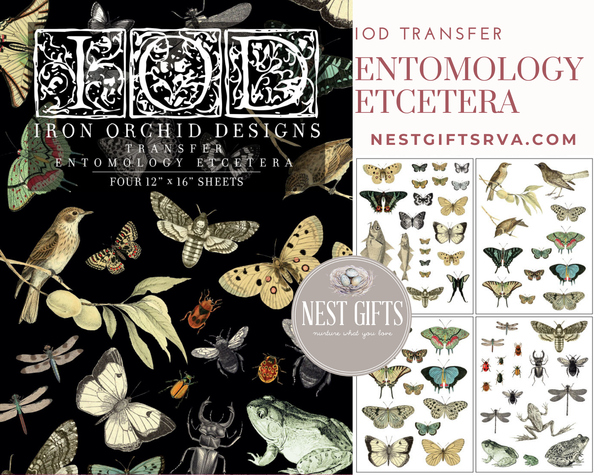 IOD Decor Transfers Entomology Etcetera