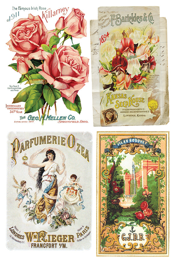 Ephemeral Melange IOD 8x12 Transfer Pad