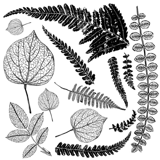 IOD Fronds Stamp by Iron Orchid Designs