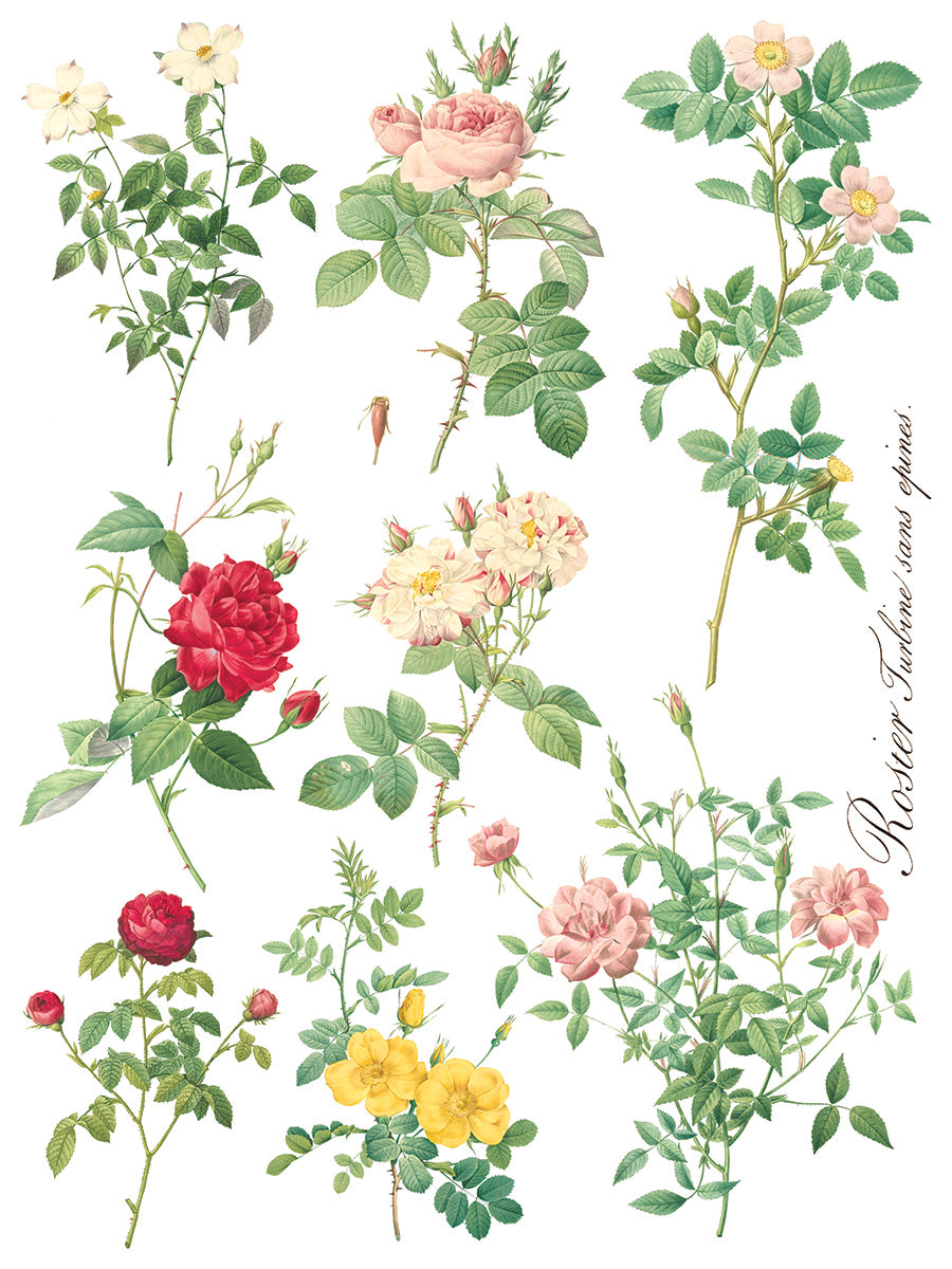 Rose Botanical IOD Transfer