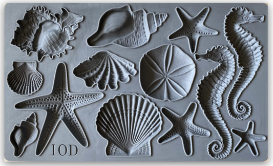 Sea Shell Decor Moulds - IOD