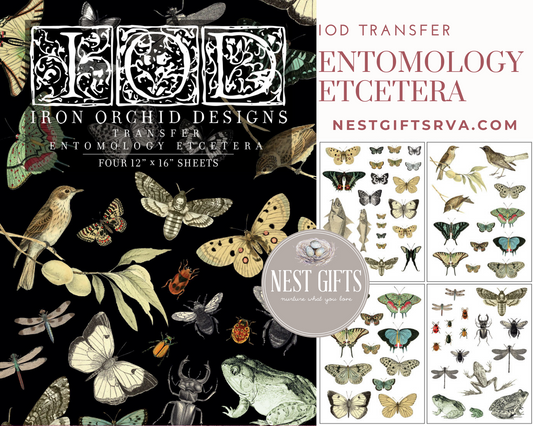 IOD Entomology Etcetera Transfer Pad by Iron Orchid Designs