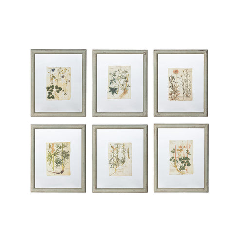 Floating Framed Botanical Prints, 6 Assorted Styles – Nest Gifts