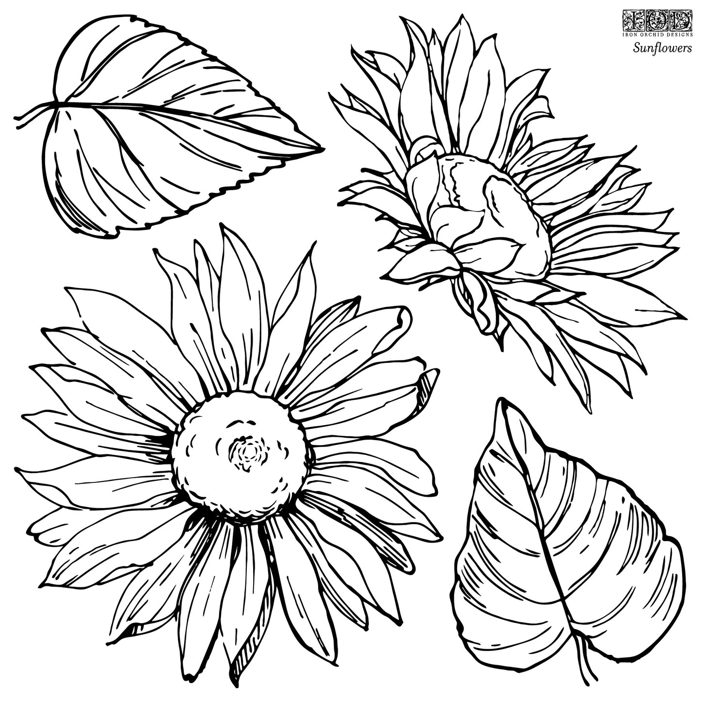 IOD Sunflowers Stamp by Iron Orchid Designs