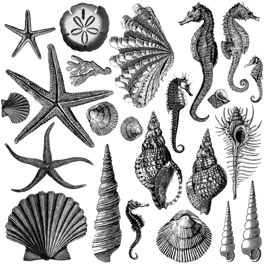 IOD Seashore Decor Stamp has starfish, shells, sea horses, and sand dollars