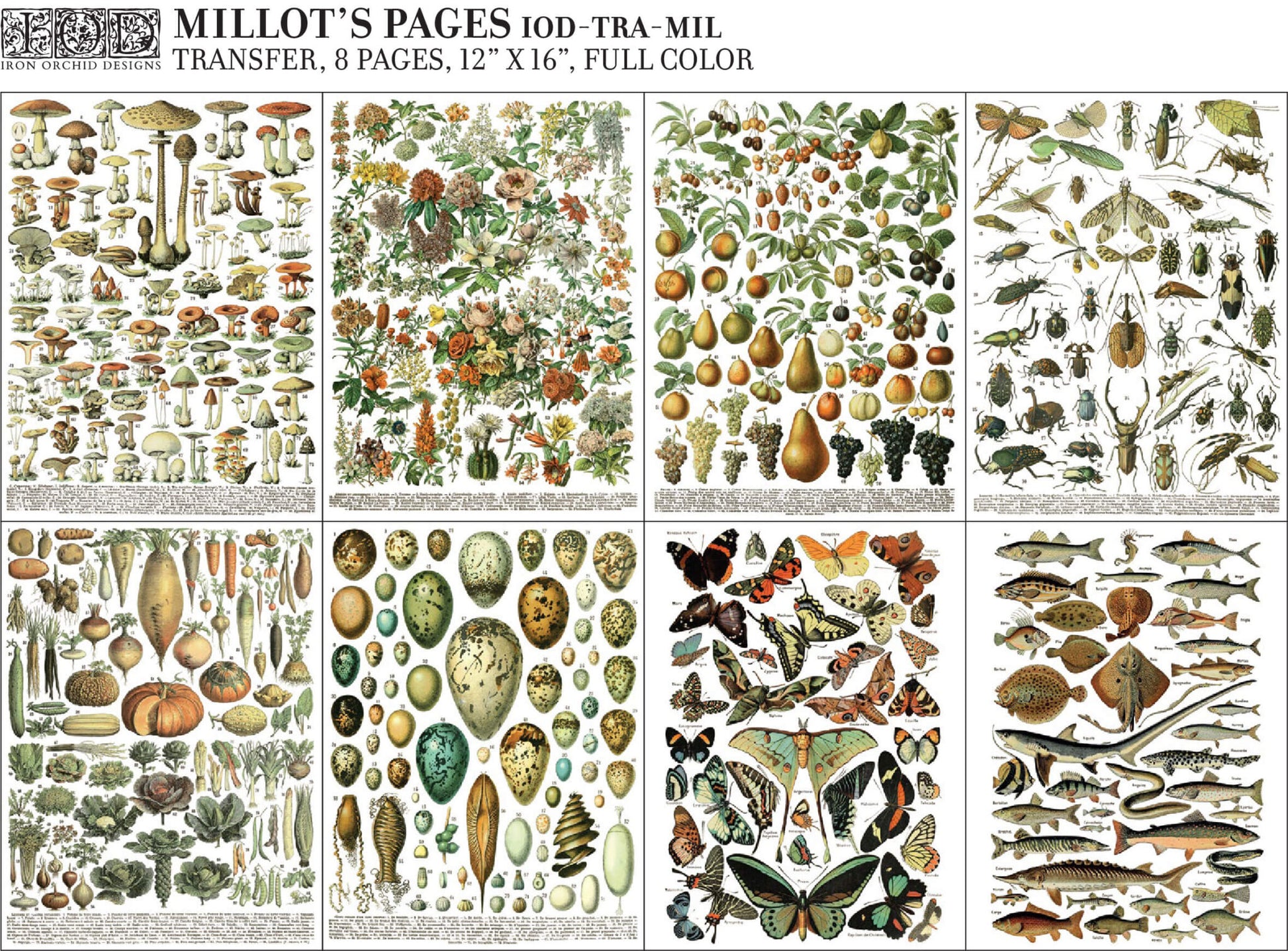 8 pages of Millot's Pages Decor Transfer by IOD