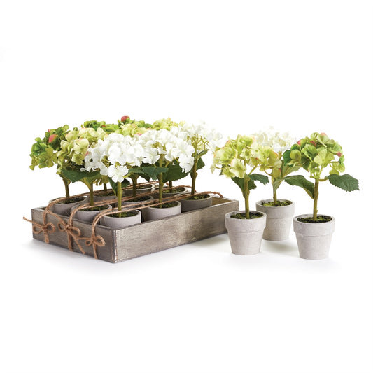 Mini Potted Hydrangea 7"