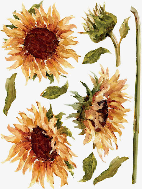 Painterly Florals IOD Transfer 12x16 Pad™ - IOD