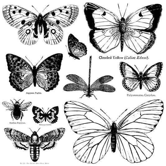 Butterflies Decor Stamp™ - IOD - Nest Gifts
