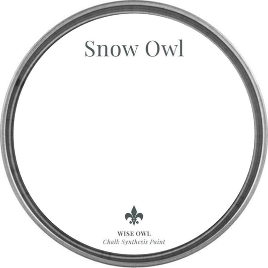snow-owl-csp
